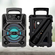 Portable Bluetooth Speaker With Mic
